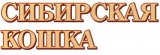 СИБИРСКАЯ КОШКА