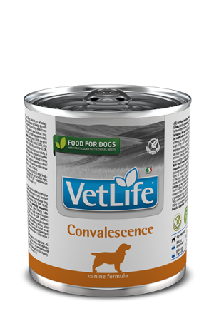 Farmina Vet Life Wet Dog Convalescence, 300 гр