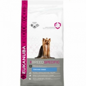 Eukanuba Yorkshire Terrier