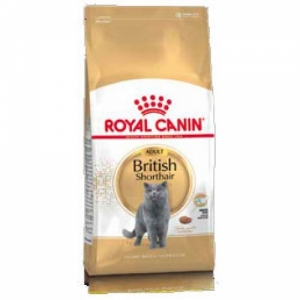Royal Canin British Shorthair Adult