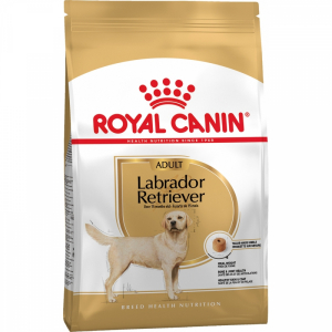 Royal Canin Labrador Retriver Adult