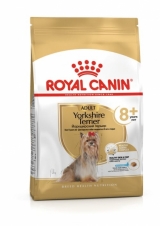 Royal Canin Yorkshire Terrier 8+