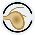 icons royal 06